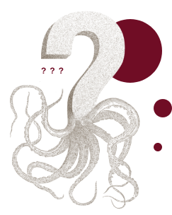 Faq’s